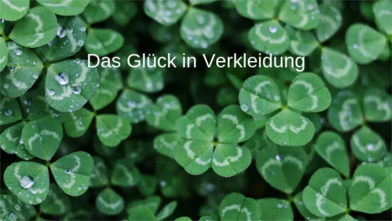 Das Glück kommt oft in Verkleidung daher
